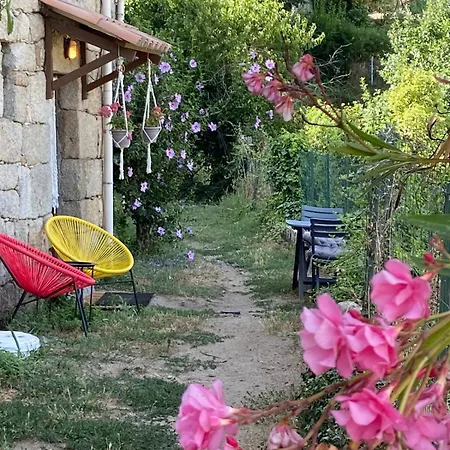Refait A Neuf Chez Linda Apartamento Zicavo